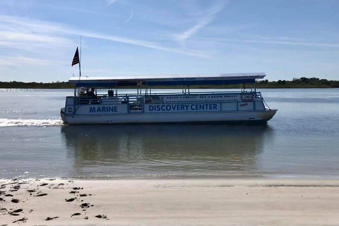Discovery Dolphin Boat Tour - Quick points to know