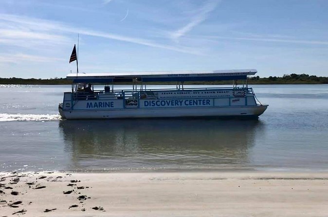 Discovery Dolphin Boat Tour - Why the slow pace works