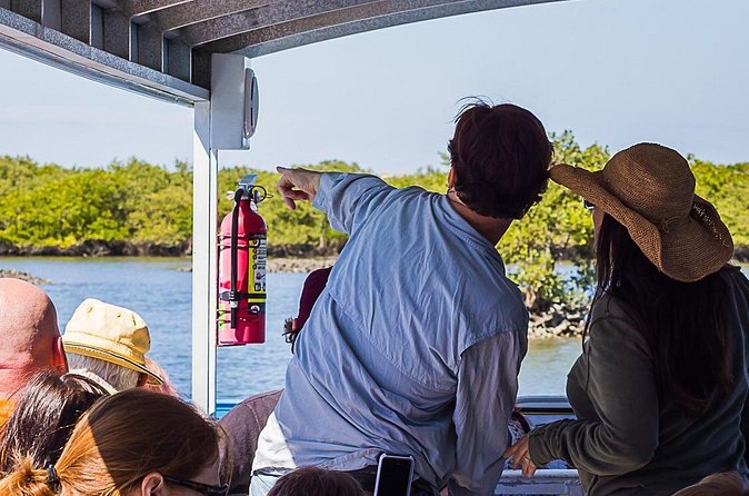 Discovery Dolphin Boat Tour - Who will enjoy this lagoon cruise most?