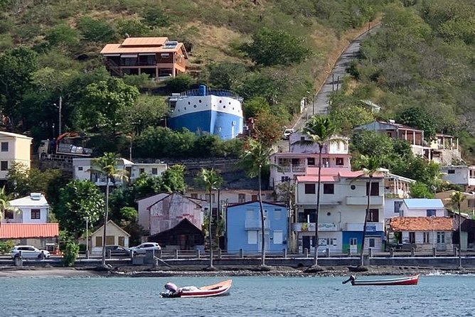 Discovery of dolphins on the Caribbean coast - How the $77.57 price holds up