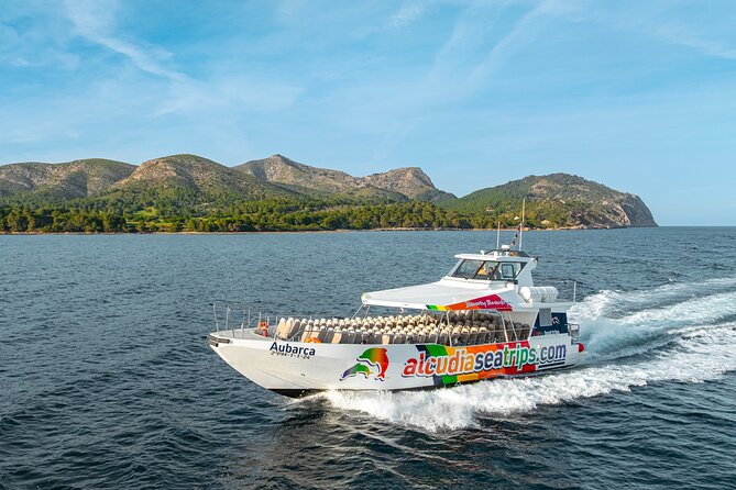 Dolphin Adventure: Fast Boat Dolphin Watching in Mallorca - The 45 to 60 minute ride into open water
