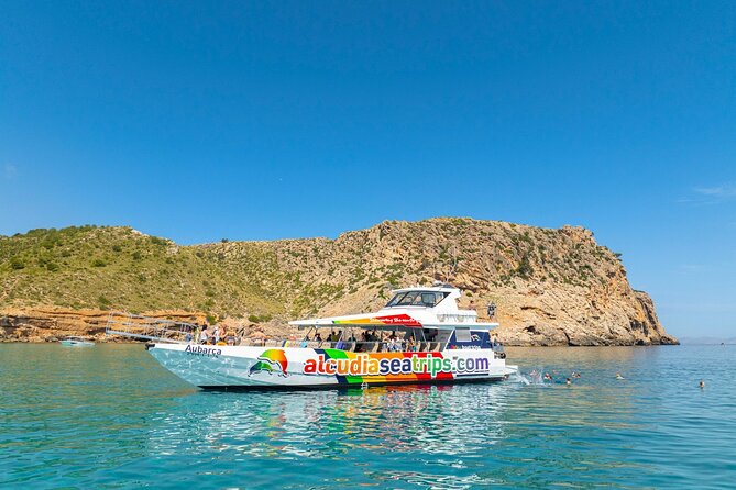 Dolphin Adventure: Fast Boat Dolphin Watching in Mallorca - Who will enjoy this boat trip most