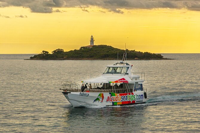 Dolphin Adventure: Fast Boat Dolphin Watching in Mallorca - Practical details before you book