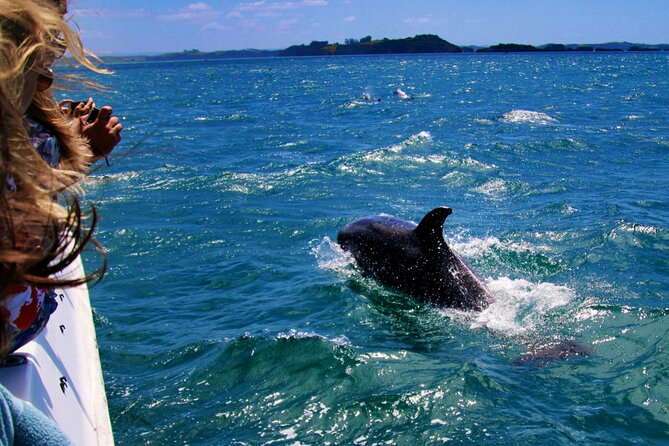 Dolphin Adventure in Sotogrande with Drink Included - Leaving Sotogrande through its canals
