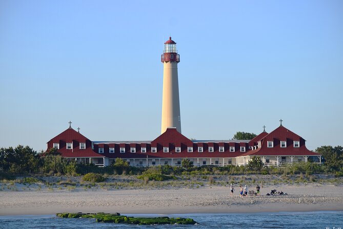 Dolphin and Bird Watching Ecotour Cruise - Why this Cape May cruise is more than a dolphin ride