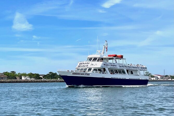 Dolphin and Bird Watching Ecotour Cruise - A two-hour route built around Cape May wildlife