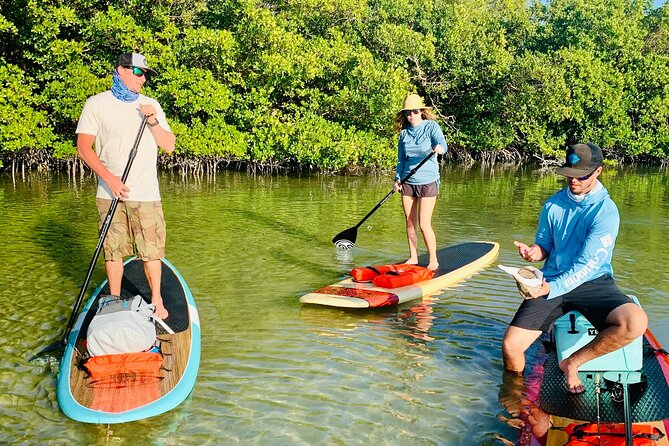 Dolphin and Manatee Adventure Tour of Fort Myers - Eric, Chase, and the value of a good guide