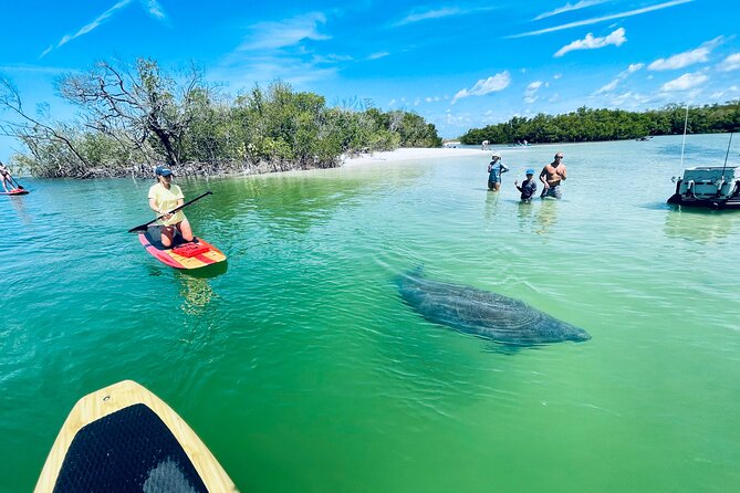 Dolphin and Manatee Adventure Tour of Fort Myers - Timing, meeting point, and practical planning