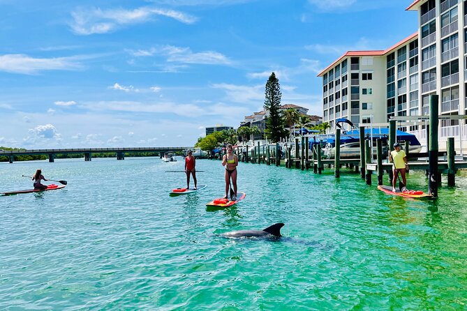 Dolphin and Manatee Adventure Tour of Fort Myers - Wildlife expectations, honestly stated