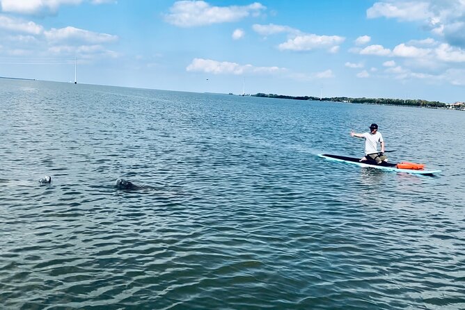 Dolphin and Manatee Adventure Tour of Merritt Island - Why Merritt Island is a fine place to paddle
