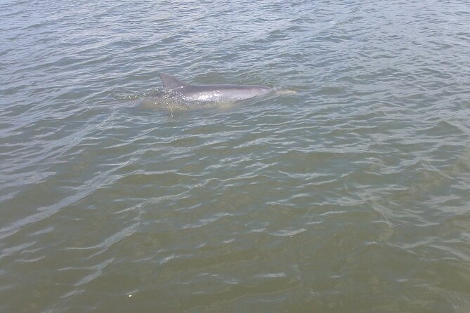 Dolphin and Manatee Adventure Tour of Merritt Island - Meeting the guide and getting on the water