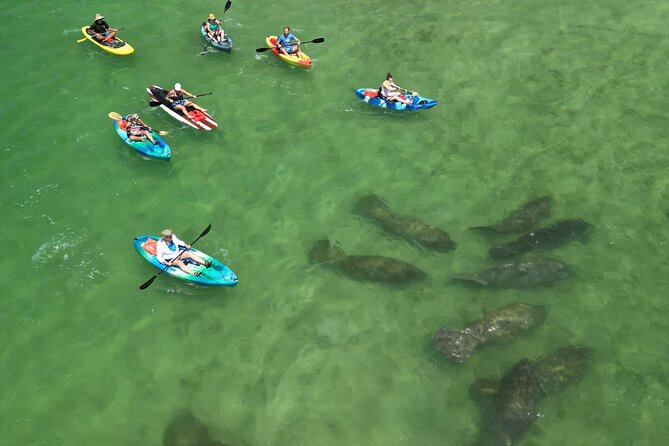Dolphin and Manatee Adventure Tour of Naples with Florida History - Why this Naples paddle is more than a rental