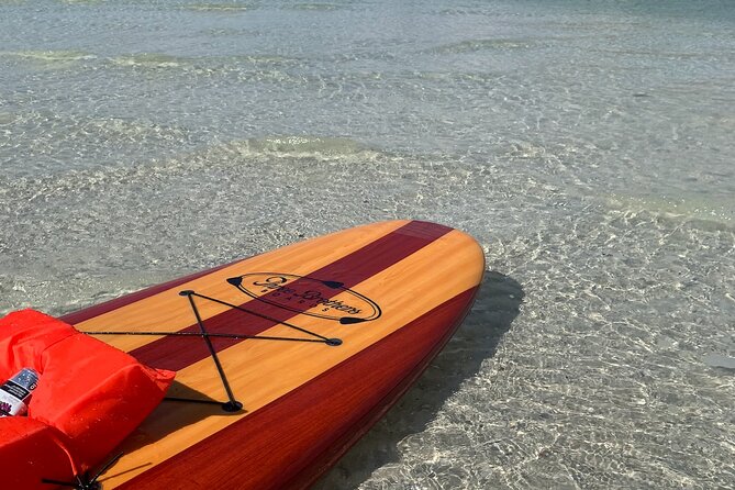 Dolphin and Manatee Adventure Tour of Naples with Florida History - Looking for dolphins and West Indian manatees