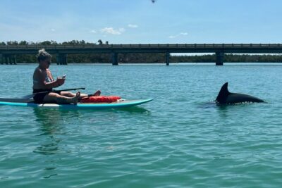 Dolphin and Manatee Adventure Tour of Naples with Florida History