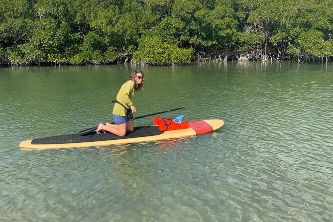 Dolphin and Manatee Adventure Tour of Naples with Florida History - Florida history between wildlife sightings