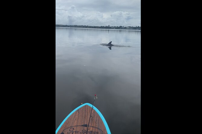 Dolphin and Manatee Adventure Tour of Naples with Florida History - Who will get the most from this outing