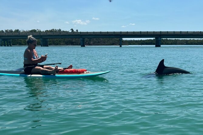 Dolphin and Manatee Adventure Tour of Naples with Florida History - Into the mangroves around Naples