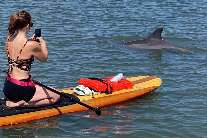 Dolphin and Manatee Adventure tour of Osprey with Florida History - Key points to know before you book