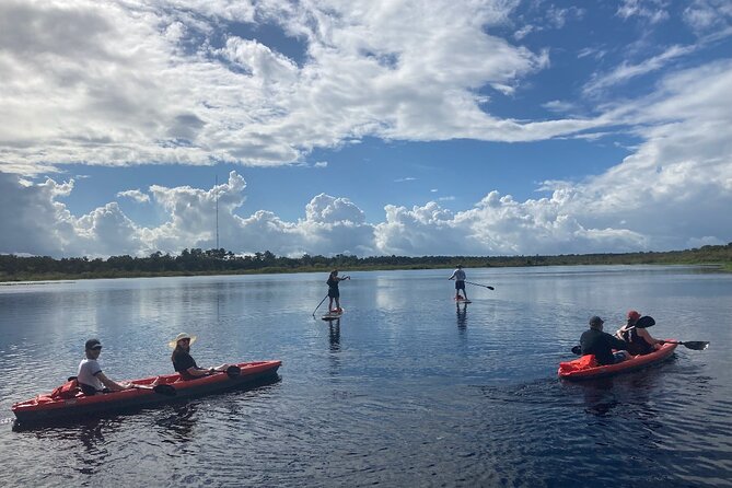 Dolphin and Manatee Adventure tour of Osprey with Florida History - What happens during the two-hour outing