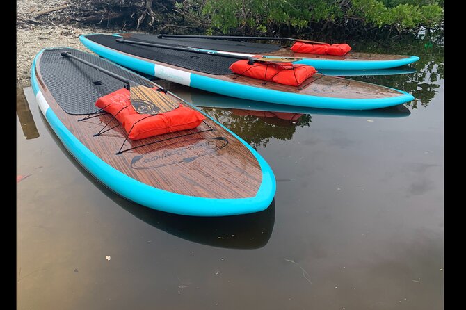 Dolphin and Manatee Adventure tour of Osprey with Florida History - Is $65 a fair price?