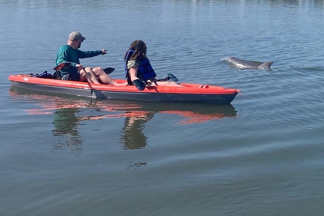 Dolphin and Manatee Adventure tour of Osprey with Florida History - Kayak or paddle board: choose the right fit