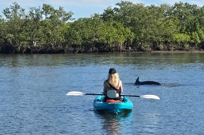 Dolphin and Manatee Adventure Tour of Sarasota with Olde Florida History! - Mangroves, birds, conch, and old Florida stories
