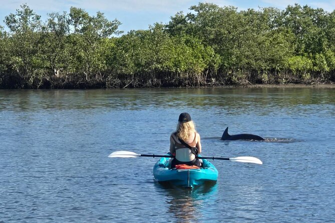 Dolphin and Manatee Adventure Tour of Sarasota with Olde Florida History! - Who will enjoy this Sarasota outing most