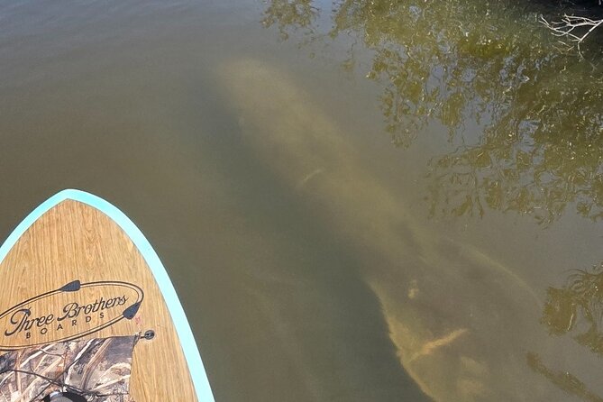 Dolphin and Manatee Adventure Tour of Sarasota with Olde Florida History! - Timing, group size, and cancellation details