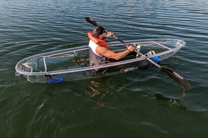 Dolphin and Manatee Clear Kayak or Paddleboard Tour - Looking for dolphins, manatees, and smaller wildlife