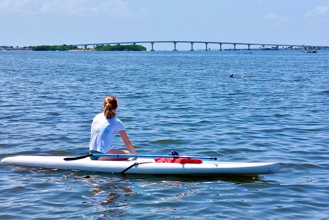 Dolphin and Manatee Clear Kayak or Paddleboard Tour - What the $75 price gets you