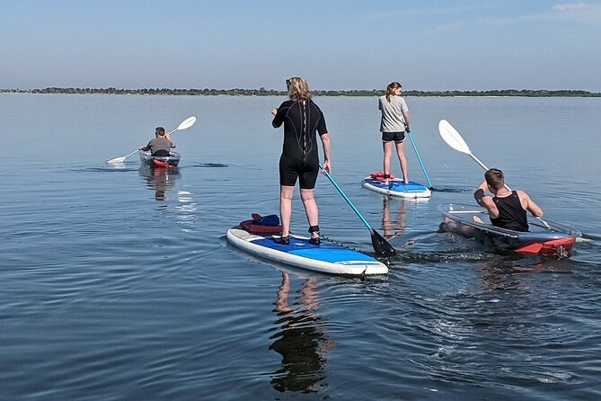 Dolphin and Manatee Clear Kayak or Paddleboard Tour - Who will enjoy this tour most