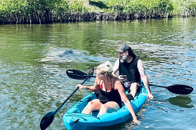 Dolphin and Manatee Kayak and SUP Adventure Tour of Cocoa Beach - The Thousand Islands Conservation Area