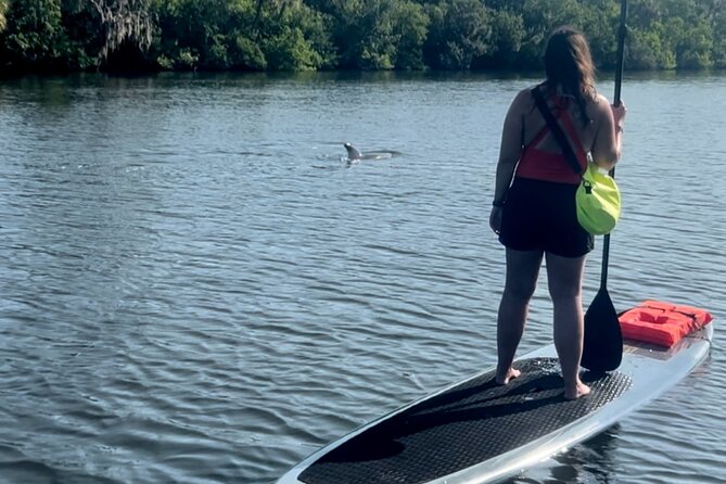 Dolphin and Manatee Kayak and SUP Adventure Tour of Cocoa Beach - Kayak or stand-up paddleboard?