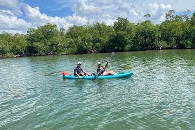Dolphin and Manatee Kayak Tour of Daytona Beach - Kayak or paddle board? Confirm before you arrive