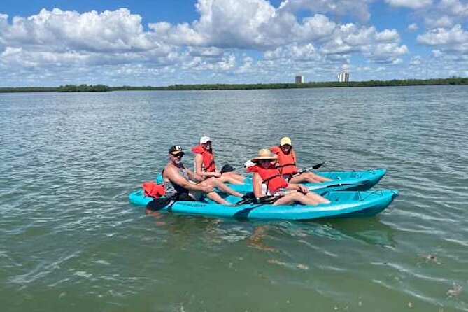 Dolphin and Manatee Kayak Tour of Daytona Beach - The wildlife question: dolphins and manatees are not guaranteed