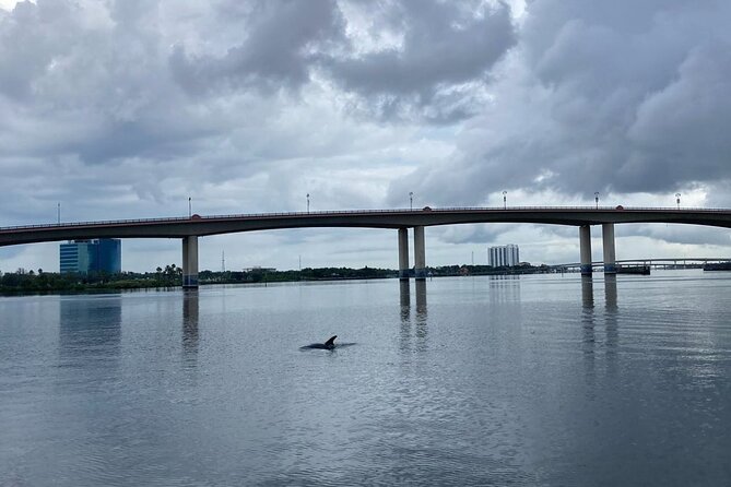 Dolphin and Manatee Stand Up Paddleboard Tour in Daytona Beach - How long the tour really takes