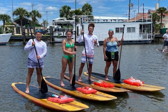 Dolphin and Manatee Stand Up Paddleboard Tour in Daytona Beach - Family suitability and physical effort