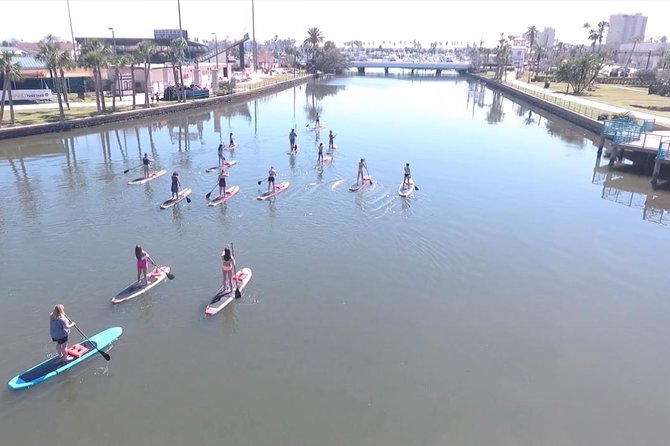 Dolphin and Manatee Stand Up Paddleboard Tour in Daytona Beach - Clothing, equipment, and what to bring