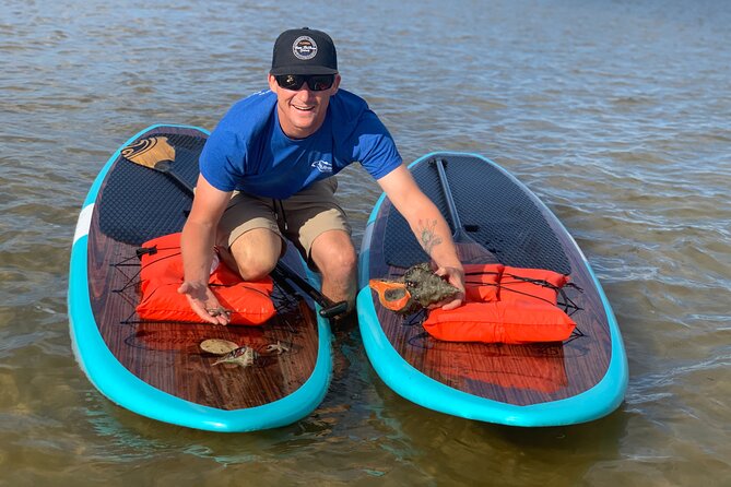 Dolphin and Manatee Tour of Marco Island by Kayak or SUP - Starting at County Road 951