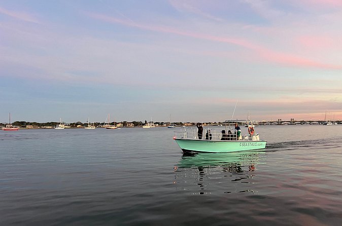 Dolphin and Nature Boat Excursion - What the guide can add to the experience