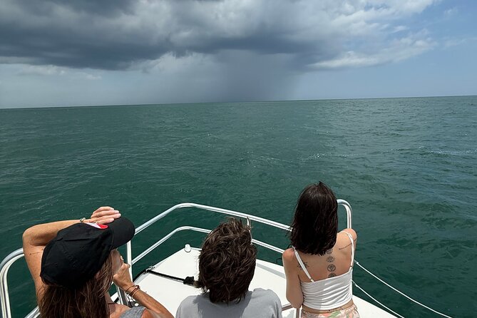 Dolphin and Nature Boat Excursion - Timing, weather, and the value of the outing