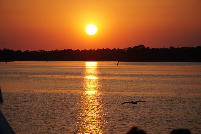 Dolphin and Nature Sunset Cruise from Orange Beach - Why the shallow creeks make this Orange Beach cruise different