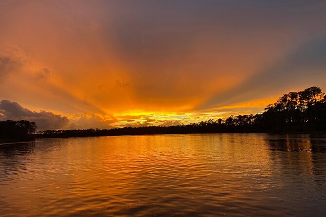 Dolphin and Nature Sunset Cruise from Orange Beach - Two hours in the back bays, creeks, and marsh