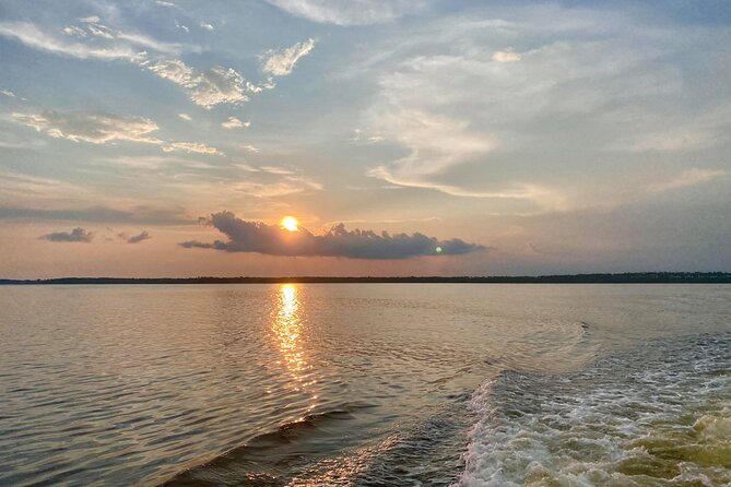 Dolphin and Nature Sunset Cruise from Orange Beach - Who will enjoy The Explorer most