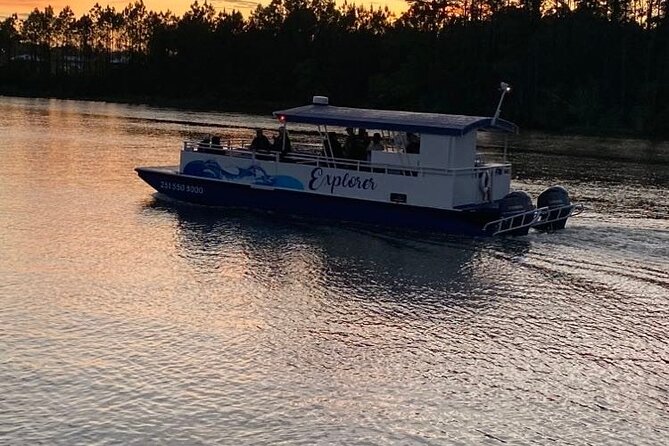 Dolphin and Nature Sunset Cruise from Orange Beach - Sunset views with a drink in hand