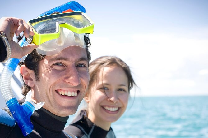 Dolphin and Seal snorkel adventure from Sorrento - What the dolphin guarantee really means