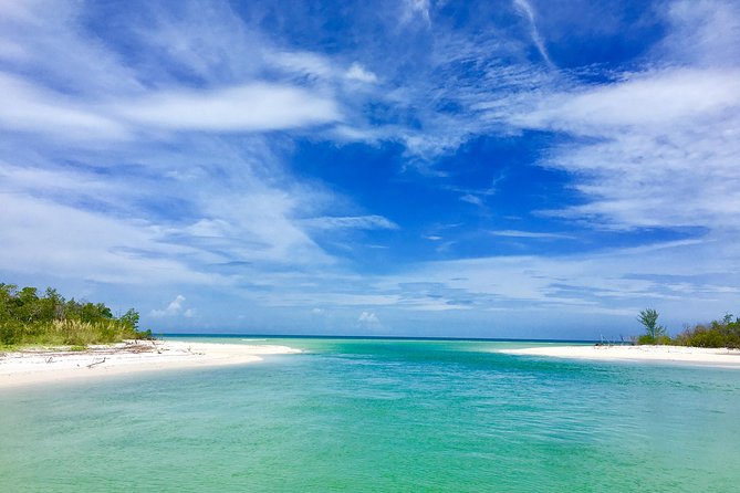 Dolphin and Shelling Cruise for up to 12 people - From Goodland into the Ten Thousand Islands
