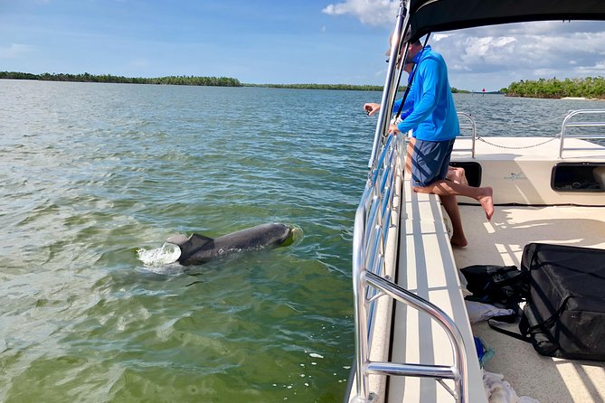 Dolphin and Shelling Cruise for up to 12 people - The barrier island stop and its shelling limits