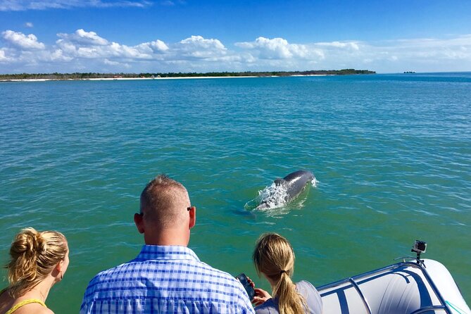 Dolphin and Shelling Cruise for up to 12 people - Who will enjoy this cruise most
