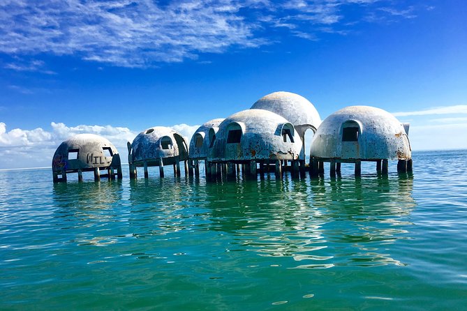Dolphin and Shelling Cruise for up to 12 people - Timing, weather, and what to bring
